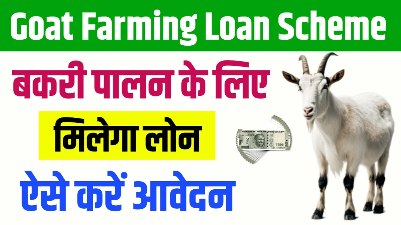 Goat Farming Loan Subsidy