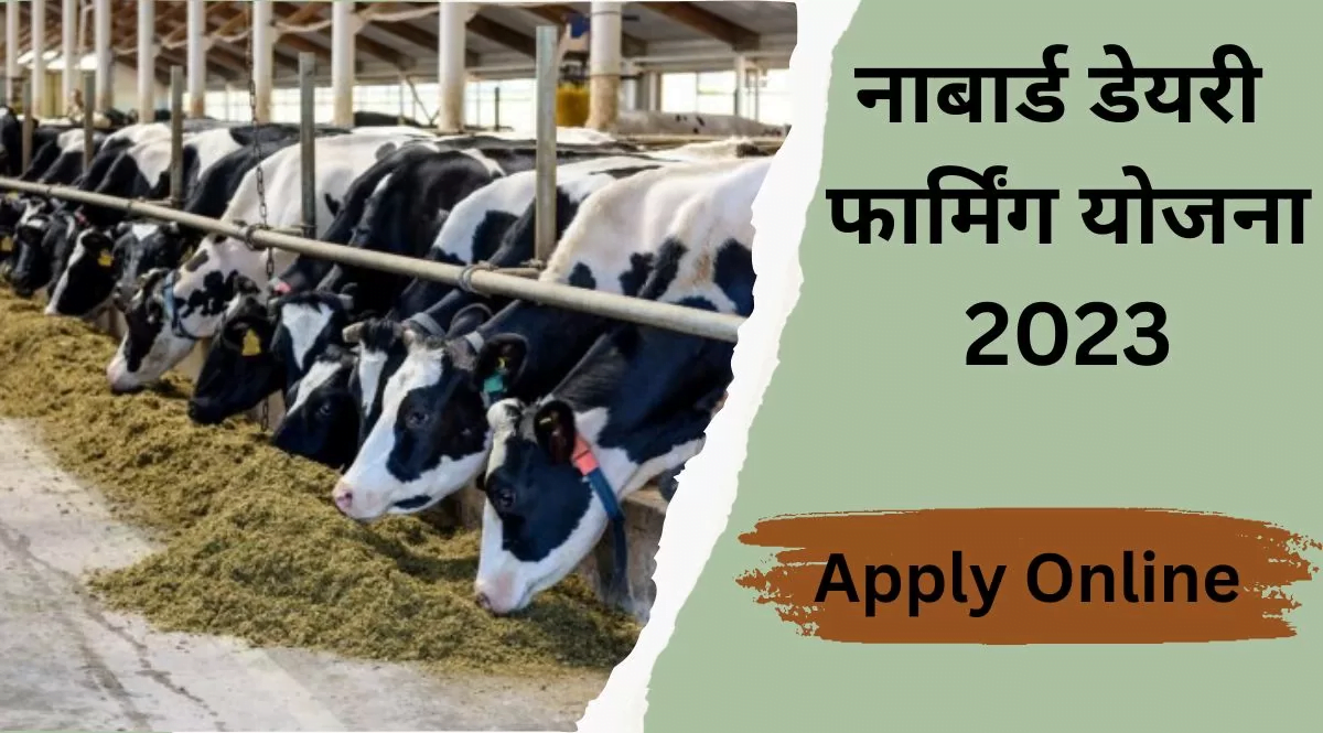 Nabard Dairy Loan Apply Online